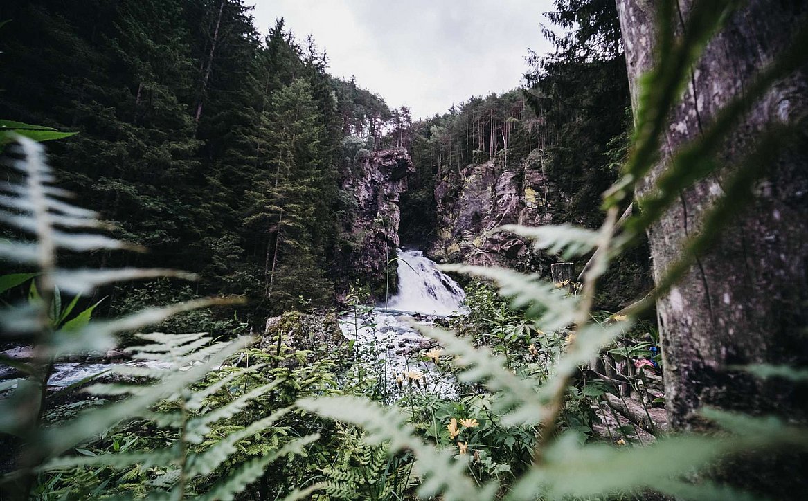 Summer vacation at the Kronplatz ► Hotel Rudolf, Riscone Summer vacation at the Kronplatz ► Hotel Rudolf, Riscone