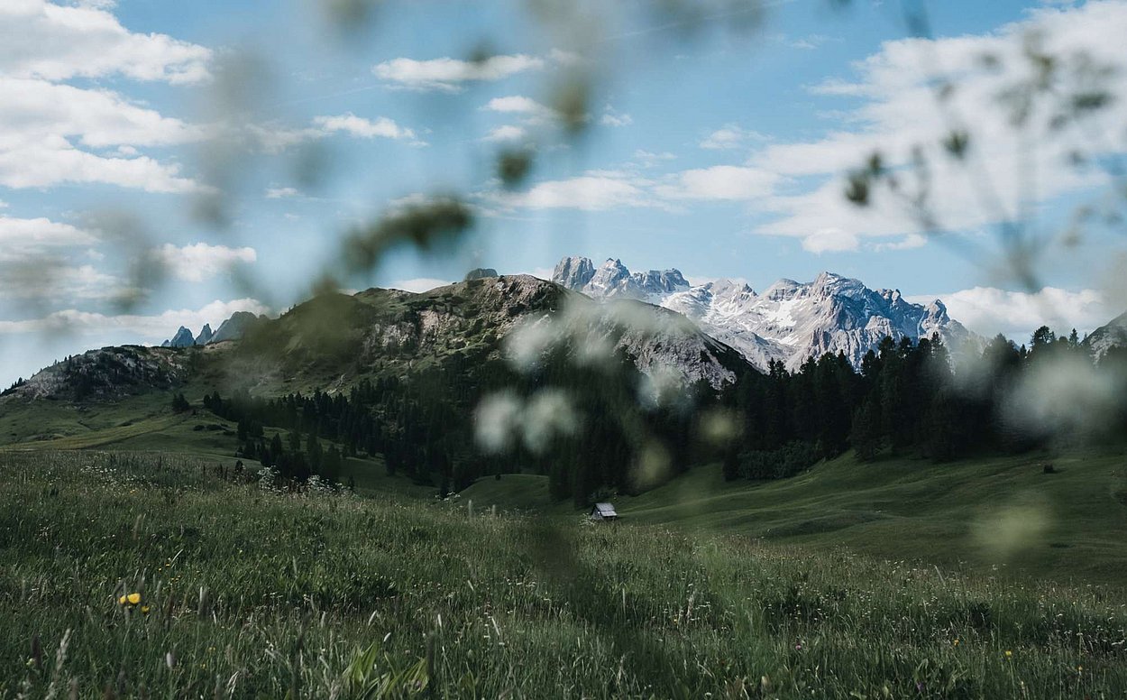 In addition to ☛ hiking ☛ biking and ☛ golf you can also enjoy ☛ fishing ☛ tennis ☛ trailrunning ☛ climbing ☛ paragliding. Summer vacation at the Kronplatz