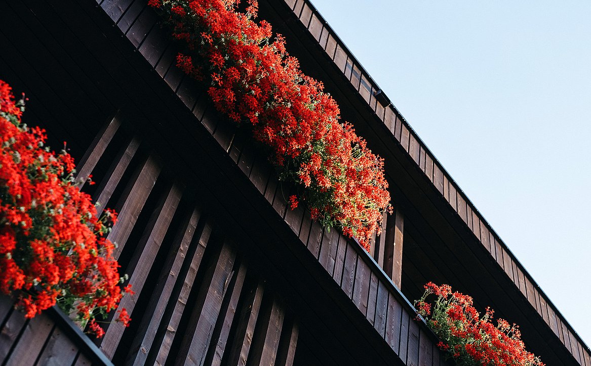 Hotel mit Spa, Kronplatz / Wellnesshotel Rudolf Südtirol Hotel mit Spa, Kronplatz / Wellnesshotel Rudolf Südtirol